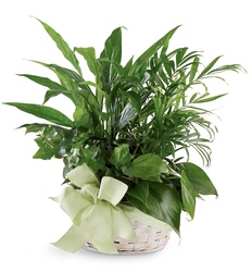 Woodland Greens Basket from Backstage Florist in Richardson, Texas